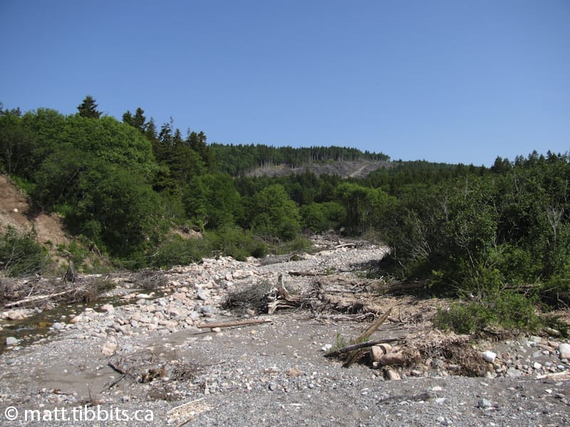 Looking north along the bed of Long Beach Brook. You can see a clear-cutting in the distance that is part of the expansion of the Fundy Trail Parkway.