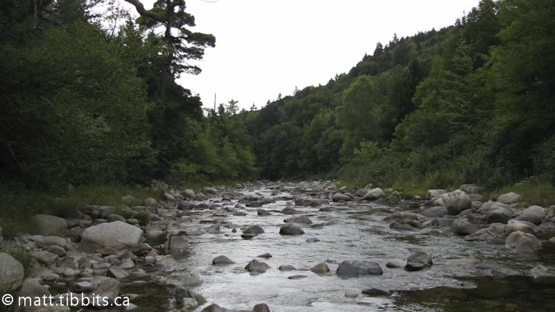 Looking downstream on the Upper Salmon River