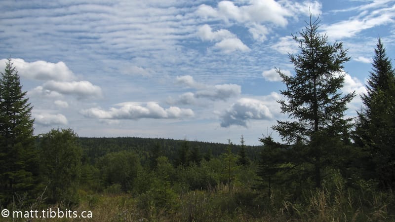 Looking out over Albert County from the Dobson Trail.