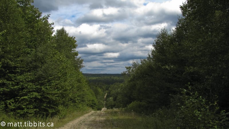 One of many old gravel roads that the trail crosses.