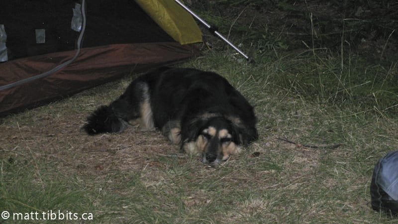 Abbey was more tired than I was.