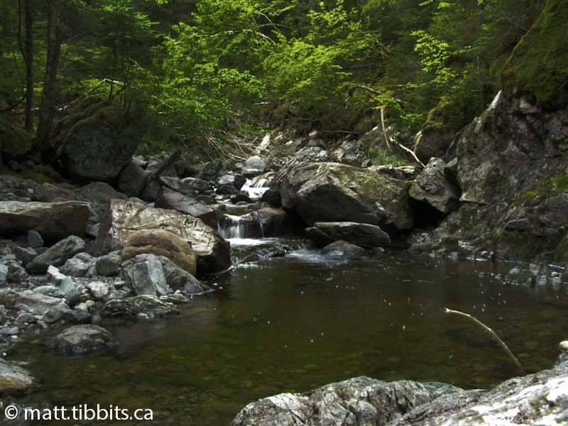 Rapidy Brook.