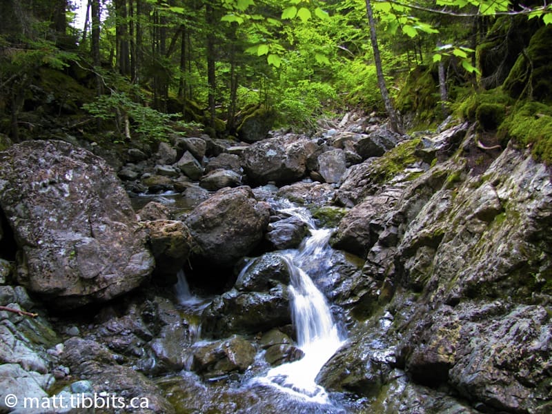 Another view of the falls at Rapidy Brook.
