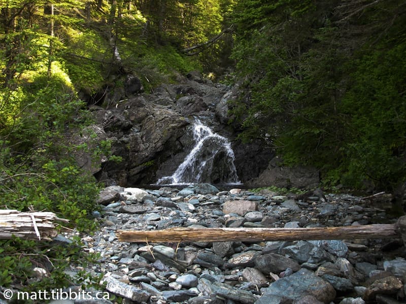 Telegraph Brook.