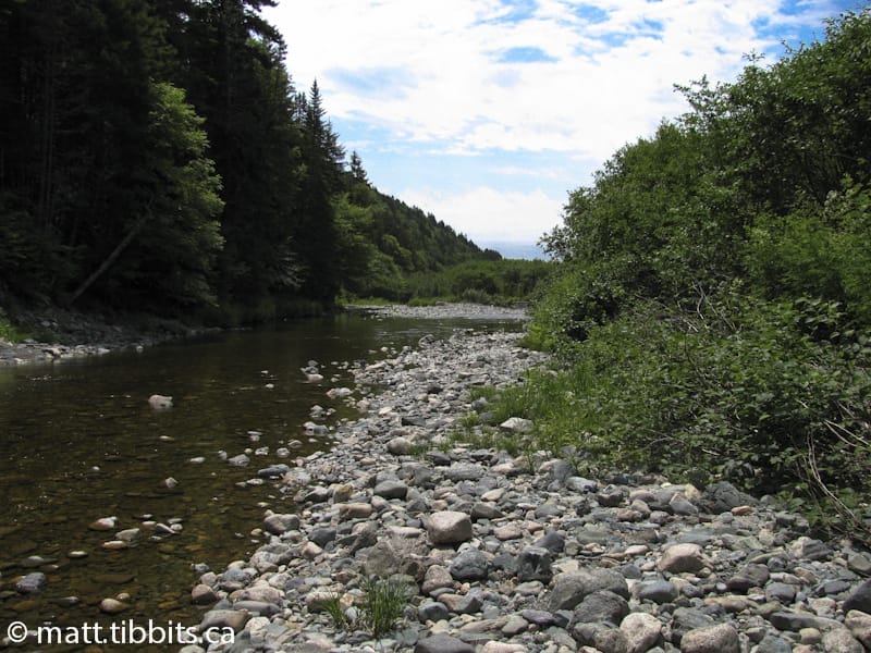 Quiddy River