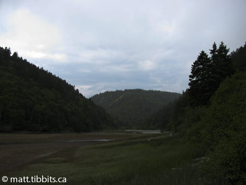 Looking at the Goose Creek crossing from the eastern side.