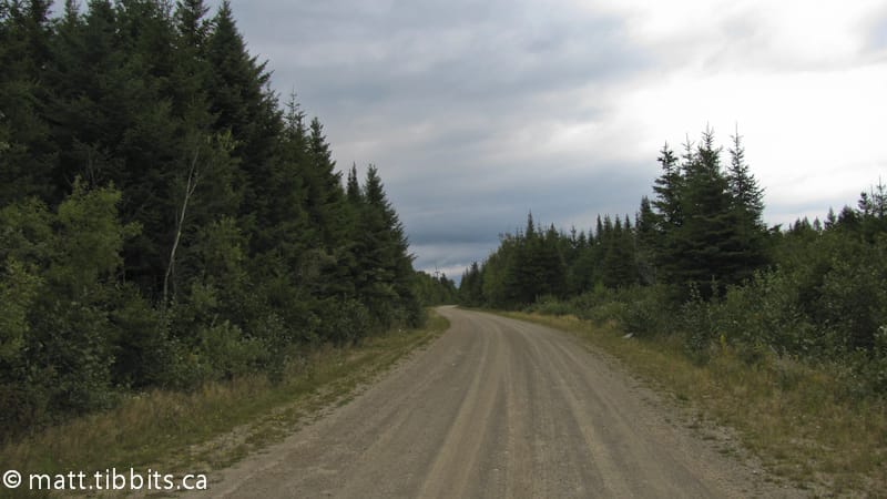 Another long road walk.