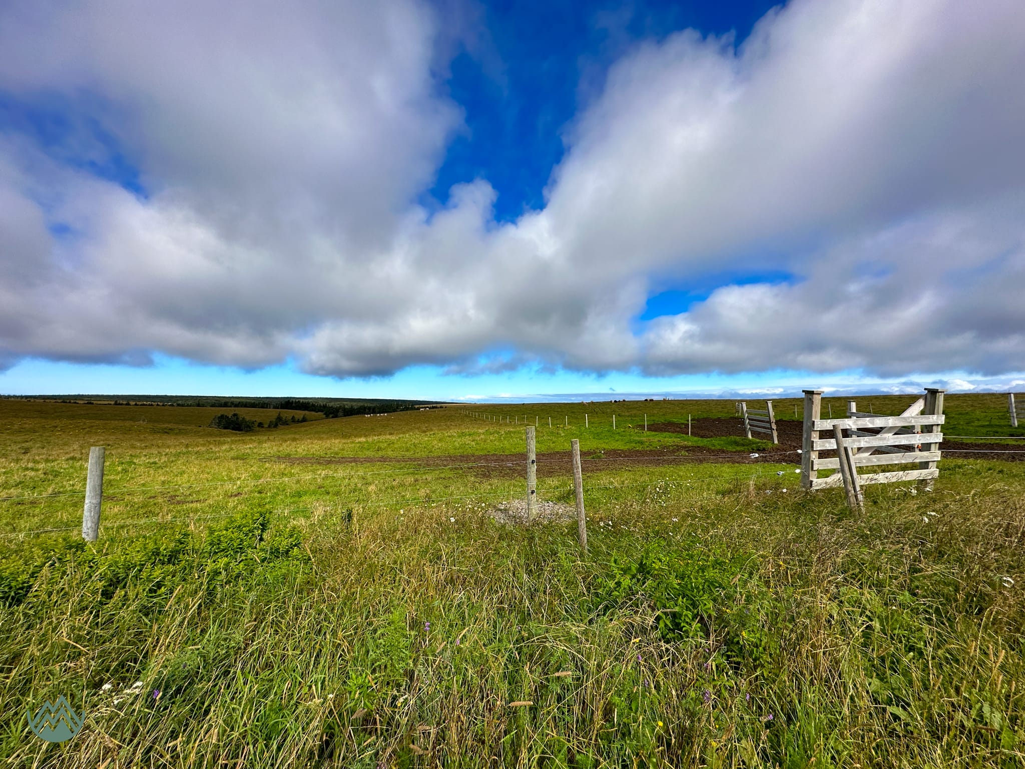 Capes 100 2023: Beautiful farmland trails.