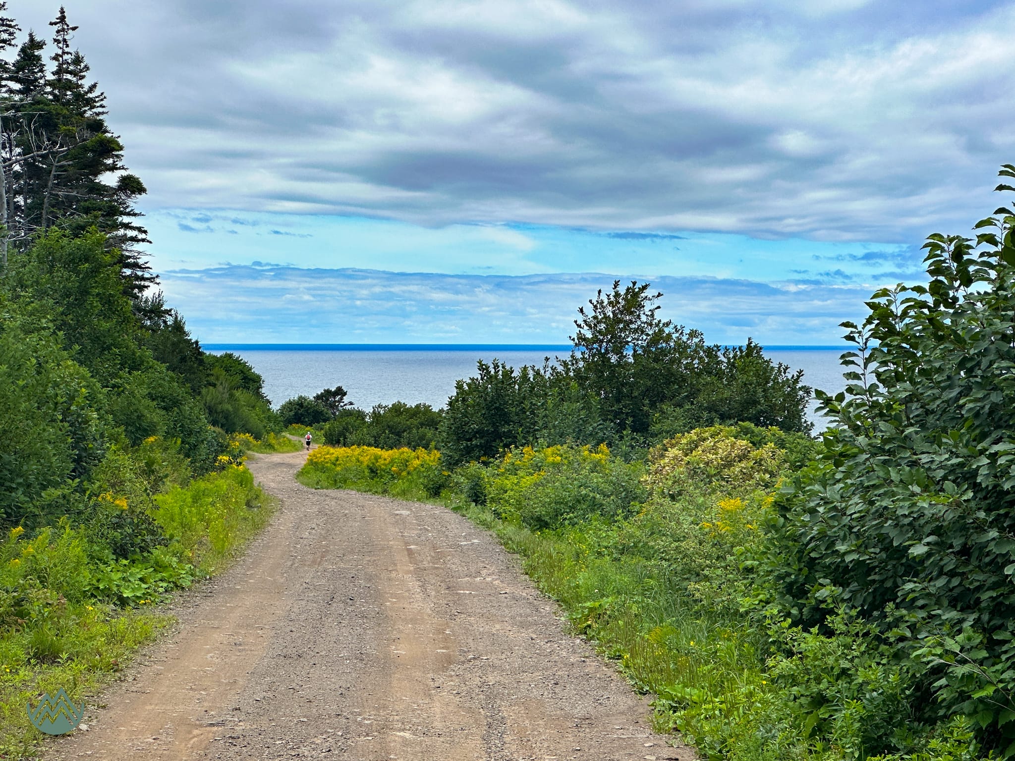 Capes 100 2023: Road section