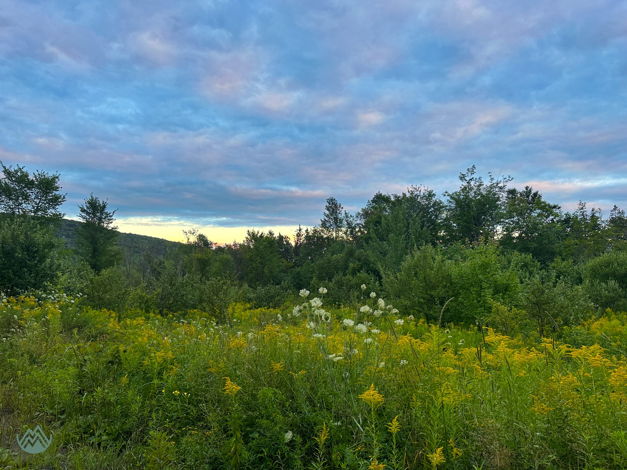 Capes 100 2023: Sunset