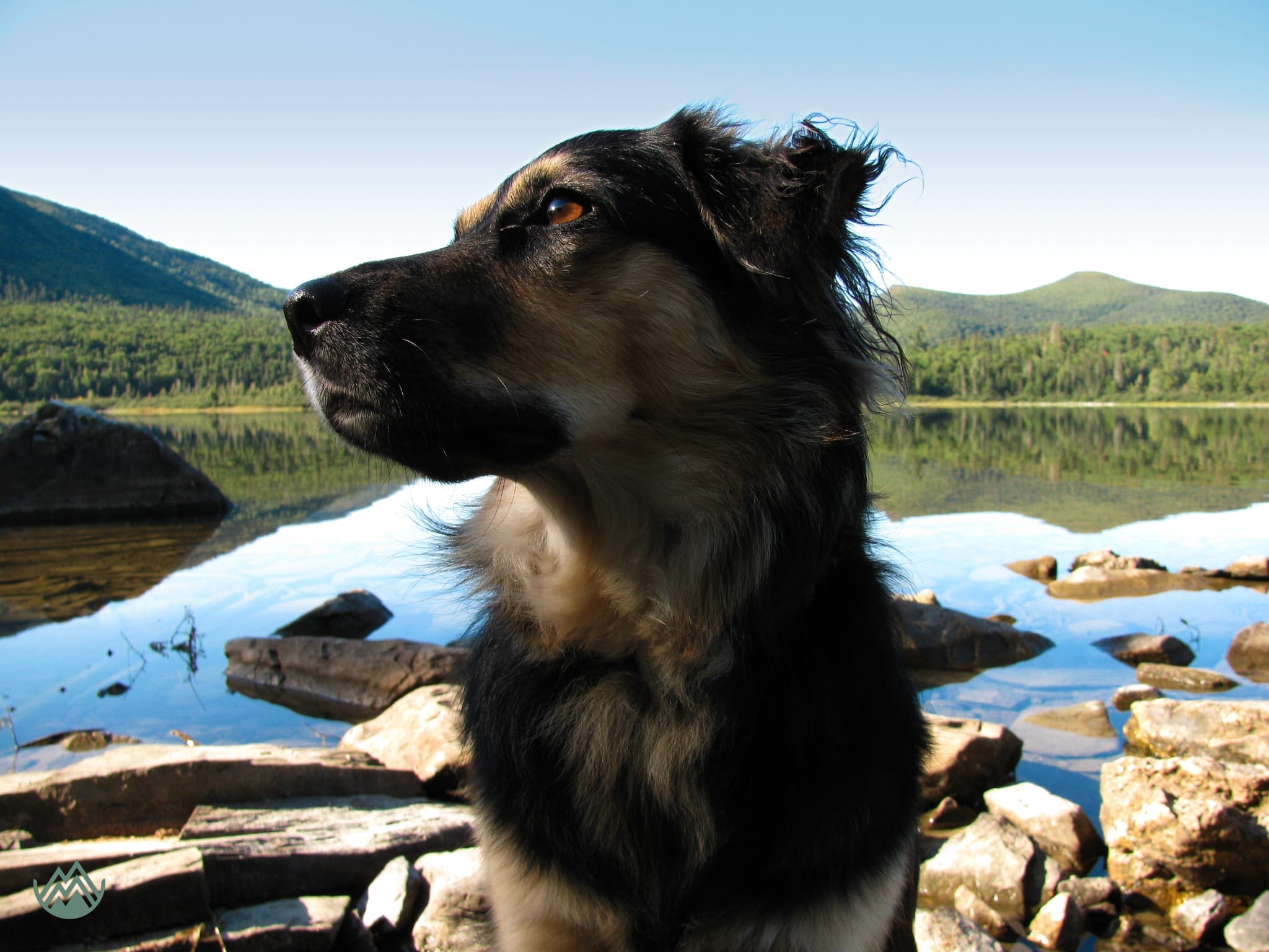 Abbey G at Nictau Lake, Mt. Carleton Provincial Park, NB