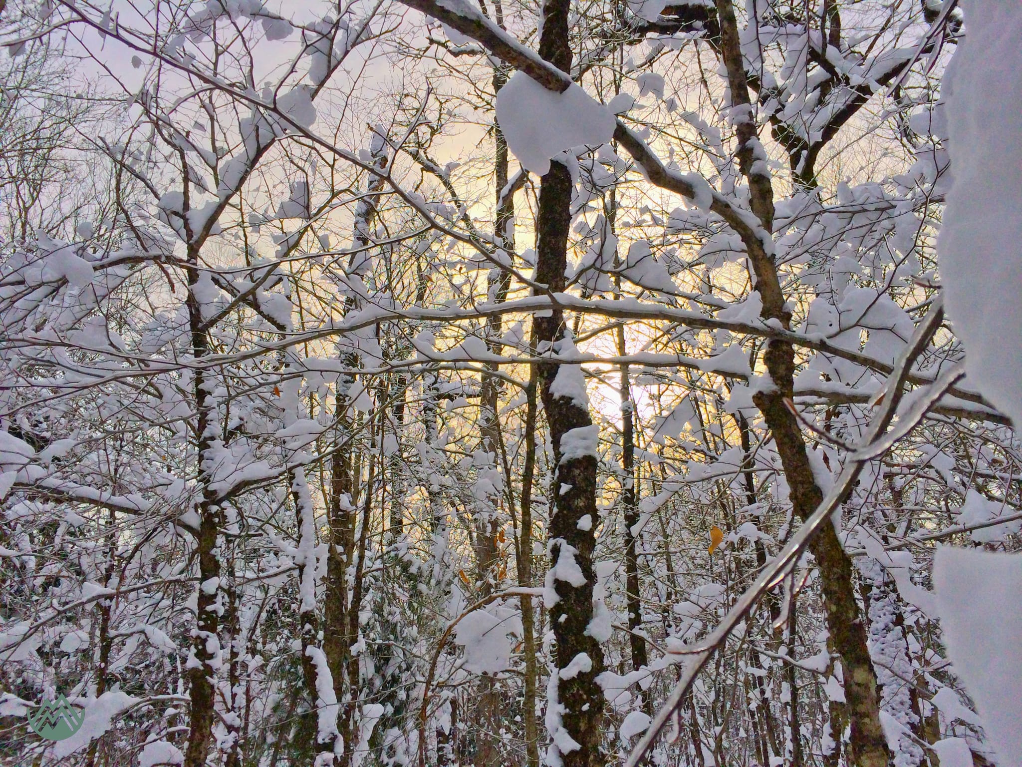 Odell Park, Fredericton, NB