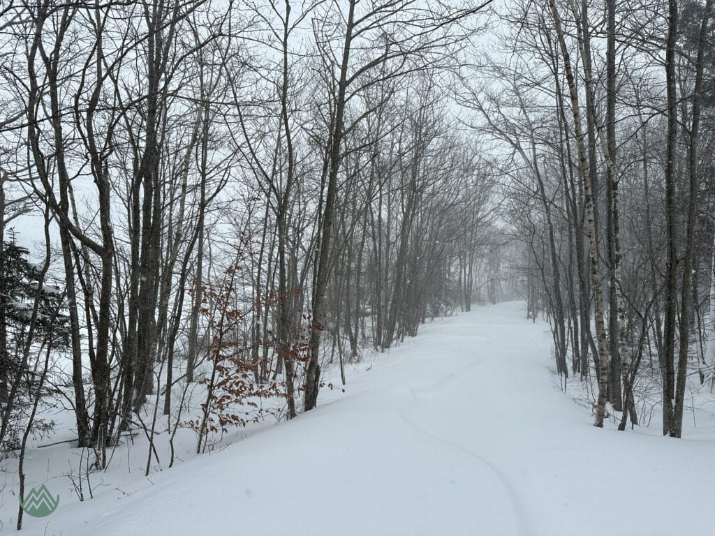 yet another snowy trail