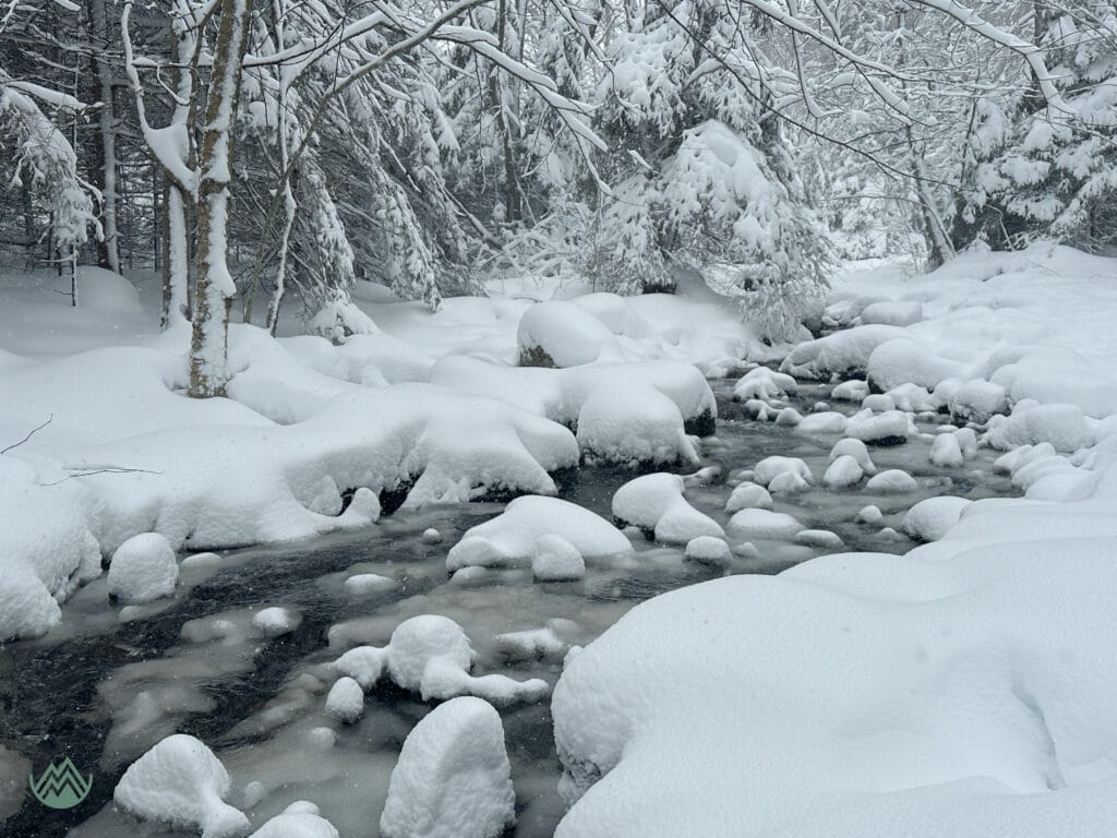 snow covered brook