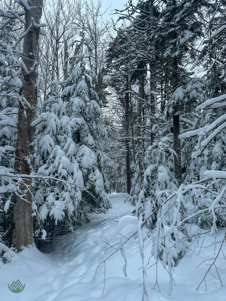 Bellbrook Trail