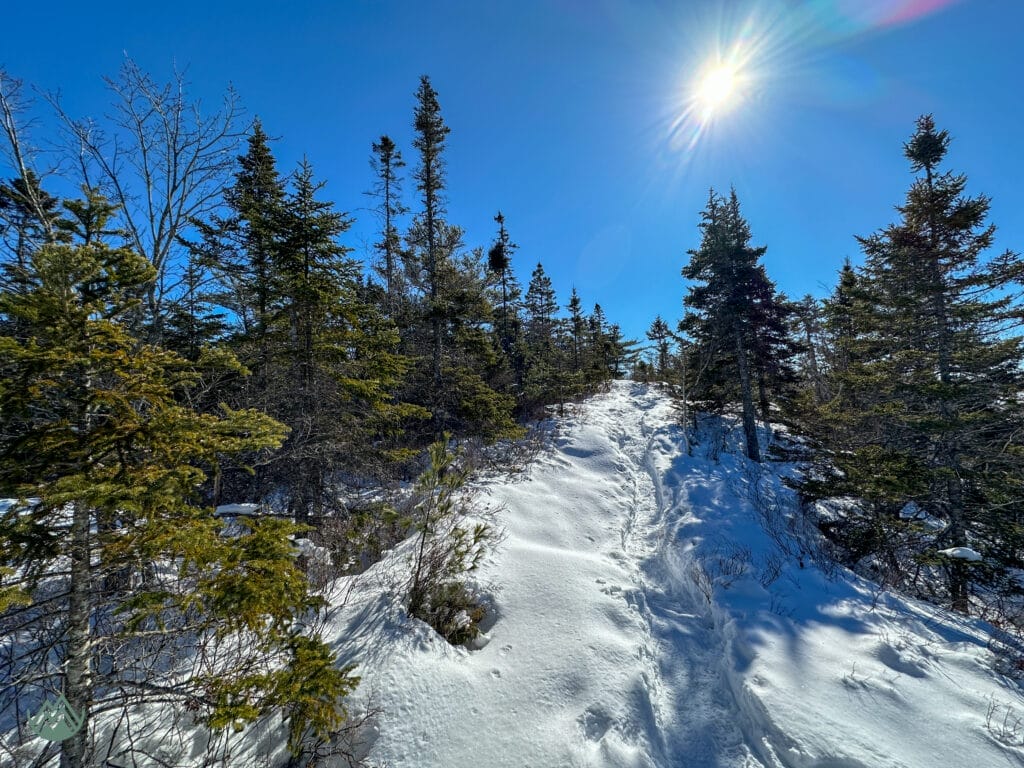 The Bluff Trail in winter