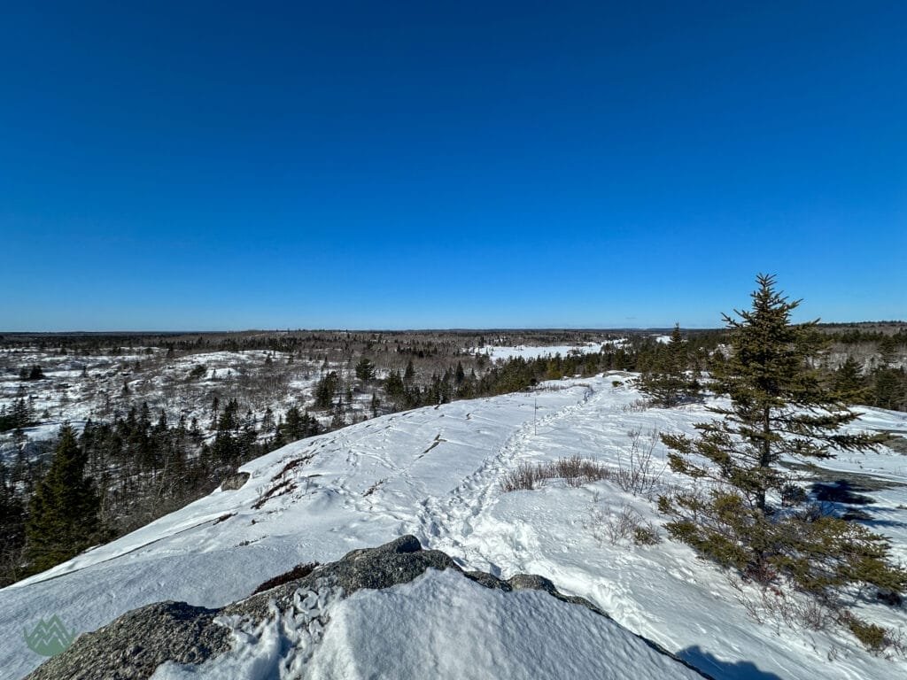 The Bluff Trail in winter