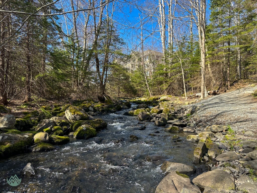 Brook on the Portland Lakes Trail