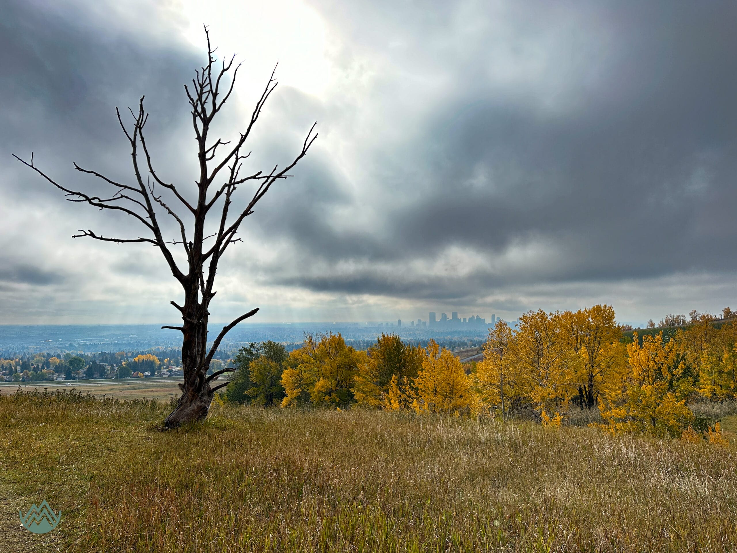 This was taken in Nose Hill Park, Calgary, AB on a very moody, fall Sunday morning. 